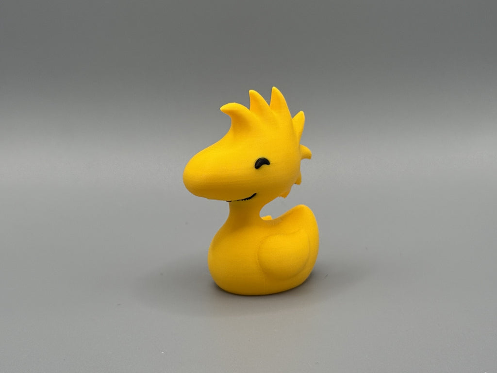 Woodstock Duck side view left showing feather crest and grin