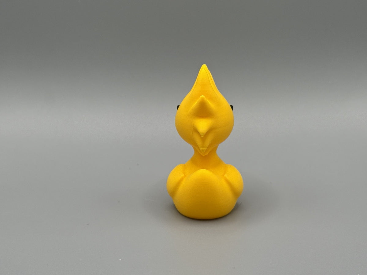 Woodstock Duck front facing view